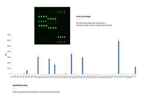 Image result for Cy3 Reaction in Lectin Array