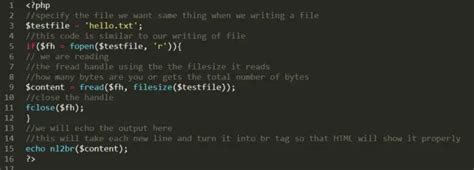 Image result for How to View a PHP File Locally