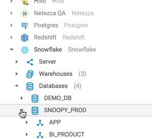 Toradh íomhá ar Netezza Database Icon
