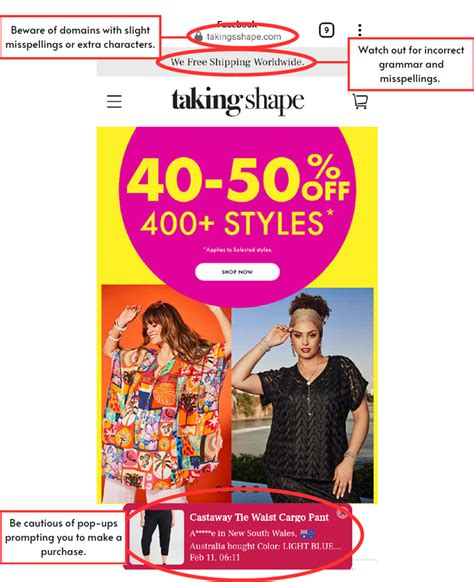 Example of a Scam Website HTML Program に対する画像結果