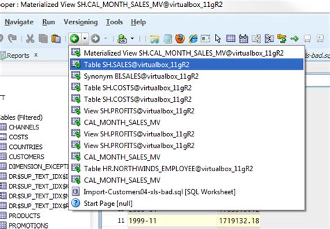 Image result for Where Is Schema Browser On SQL Developer
