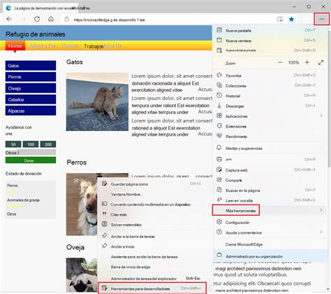 Afbeeldingsresultaten voor Microsoft Edge Devtools