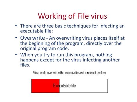 Virus File に対する画像結果