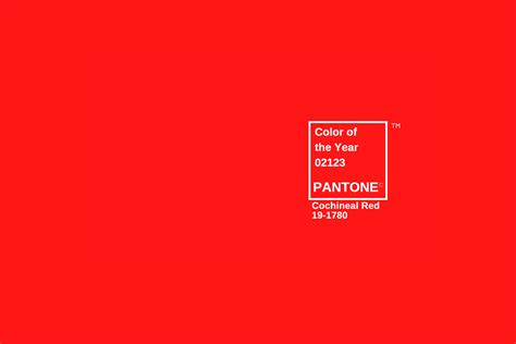 Image result for Pantone Red Color Chart