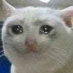 Afbeeldingsresultaten voor Gear Giver Script Hack