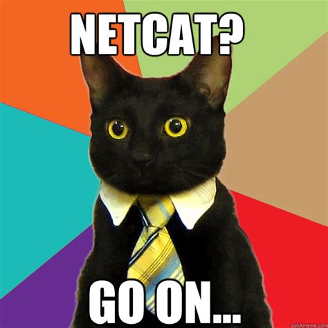 Netcat Hacking Meme に対する画像結果