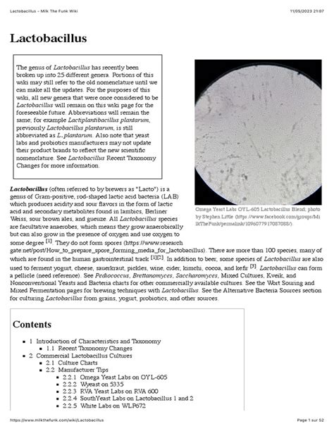 Lactobacillus Micrograph に対する画像結果