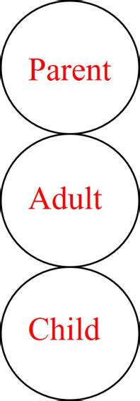 Examples Parent Adult Transaction に対する画像結果