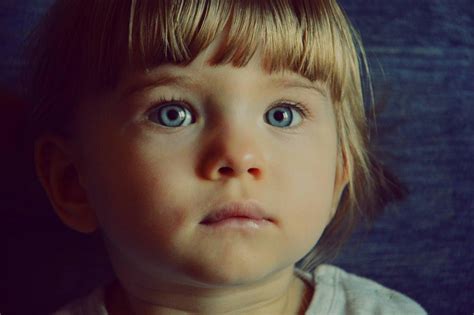 Image result for View Pipi