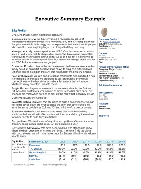 Afbeeldingsresultaten voor Excellent Executive Summary Example