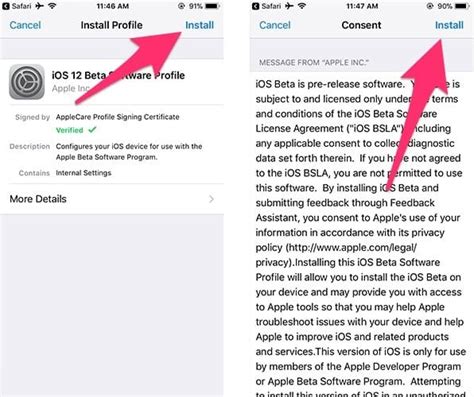 Image result for iOS 12 Beta Profile