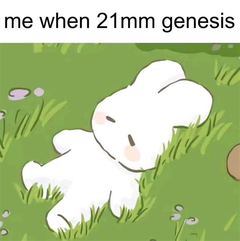 Toradh íomhá ar Briad Hydrangea Broad