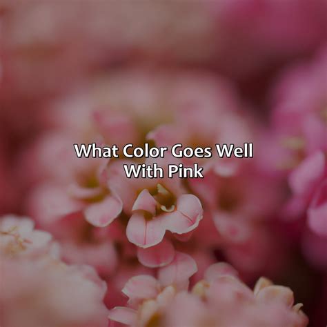 Image result for Negatve Color of Pink