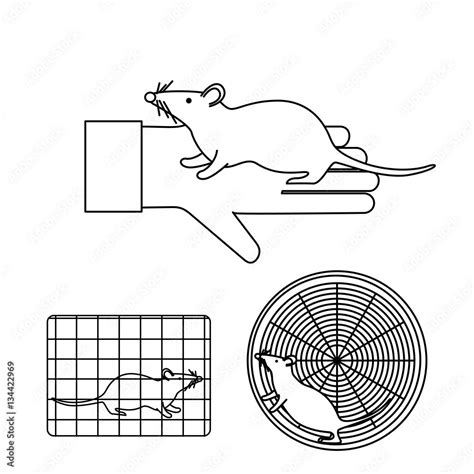 Image result for Vector Image of a Lab Mouse