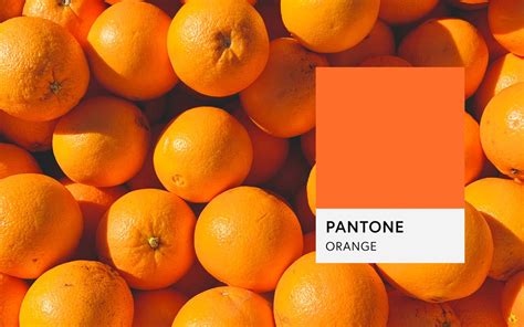 Image result for Orange Colour