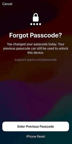 Image result for Apple Support Passcode Unlock