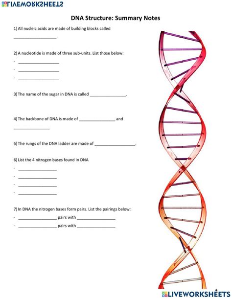 Image result for Nucleic Acids Worksheet Answer Key
