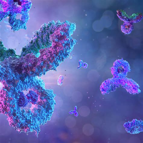 Image result for Immunology Report