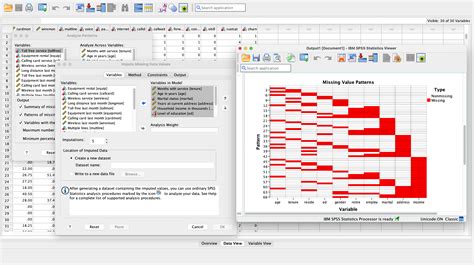 SPSS V2.0 માટે ઇમેજ પરિણામ
