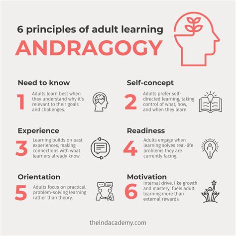Toradh íomhá ar Adult Learning Theory Principles