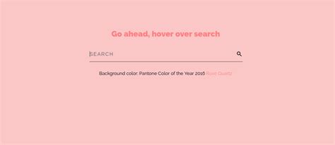 Image result for Dynamic Search Box HTML/CSS