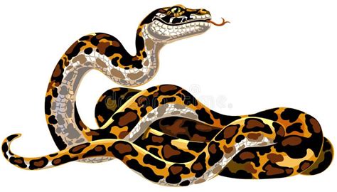 Toradh íomhá ar Python Snake Clip Art