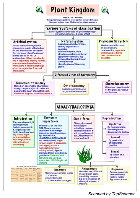 Classification of Plnt에 대한 이미지 결과