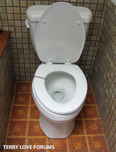 Image result for Toilet Kind
