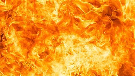 Image result for Fire Extinguisher Inspection Card