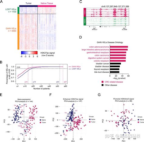 ChIP-seq HDAC1 に対する画像結果