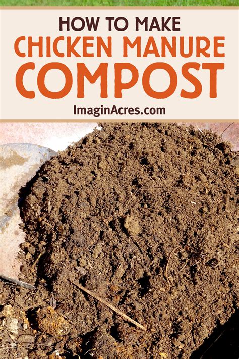 Image result for Well Composted Chicken Manure