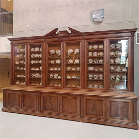 Image result for Anatomisch Museum Leiden