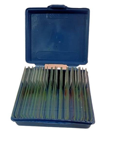 Image result for Microscope Slide Scale