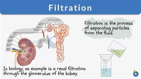 Filteration Numerical Example に対する画像結果