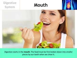 Image result for Watching Food in Mouth Digestive System