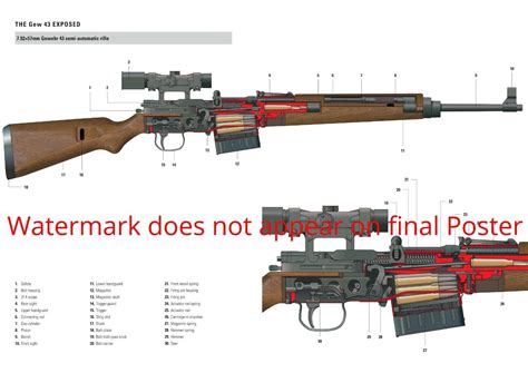 Image result for Mauser G43