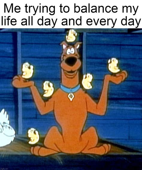 Image result for Continuous Learning Meme