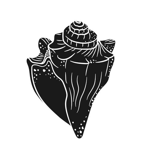 Image result for Conch Shell Vector