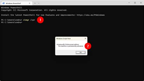 How to Tell If Windows Is Activated From PowerShell に対する画像結果