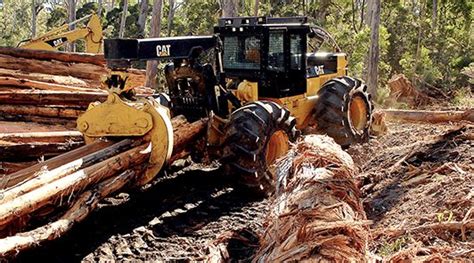 Image result for Cat Logging