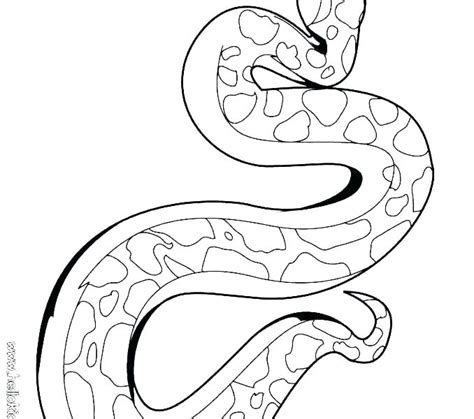 Image result for Ball Python Coloring Pagw