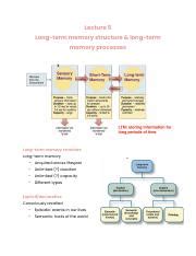 Image result for Long-Term Memory Structure