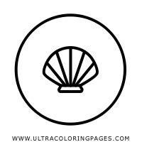 Image result for Shellfish Color Page