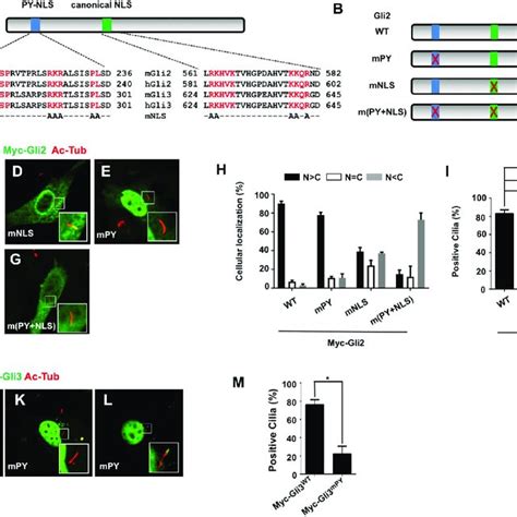 Image result for Py NLS