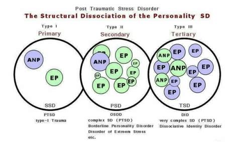 Image result for Model of Structural Dissociation Graph