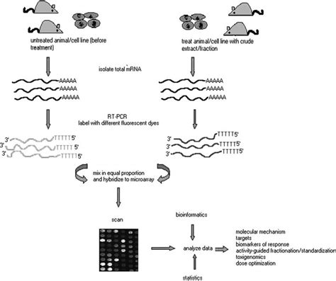 Microarray Gene Expression Analysis に対する画像結果