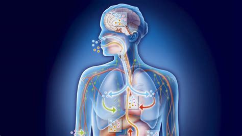 Bildergebnis für Cancer Body Map