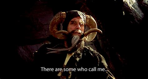 Image result for Monty Python Stupid GIF