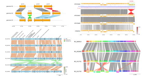Python Plot Gene Structure に対する画像結果
