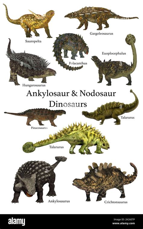Shunosaurus vs Ankylosaurus に対する画像結果